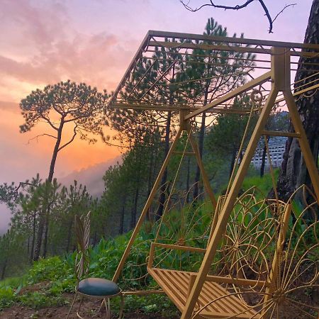 The Westberry 50Mtrs Offroading And 50 Mtrs Nature Path Bed & Breakfast Shimla Luaran gambar