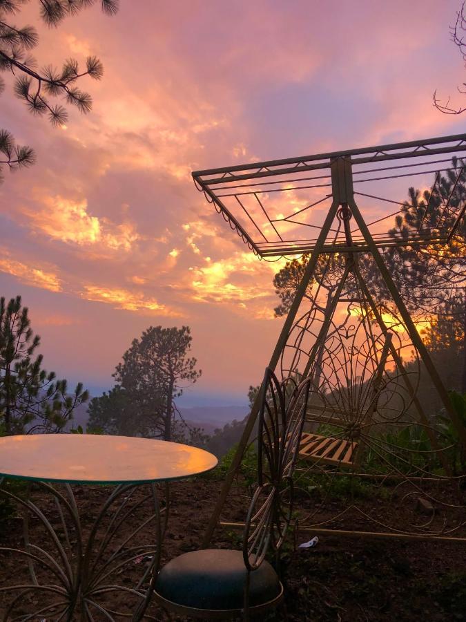 The Westberry 50Mtrs Offroading And 50 Mtrs Nature Path Bed & Breakfast Shimla Luaran gambar