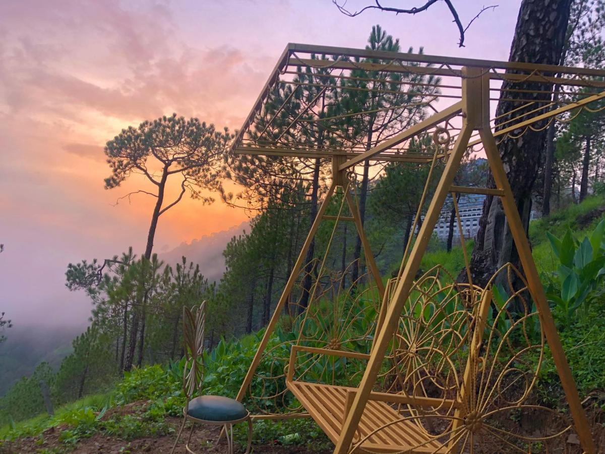 The Westberry 50Mtrs Offroading And 50 Mtrs Nature Path Bed & Breakfast Shimla Luaran gambar